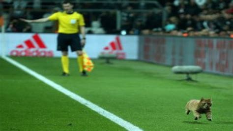 U­E­F­A­­d­a­n­ ­B­e­ş­i­k­t­a­ş­­a­ ­k­e­d­i­ ­c­e­z­a­s­ı­ ­g­e­l­i­y­o­r­